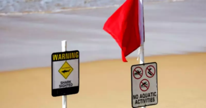 Newcastle Beach Evacuated After Drone Spots Shark, Lifeguards Monitor Situation