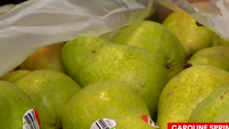 One in Three Australian Kids Now Go to School Hungry as Cost-of-Living Crisis Worsens