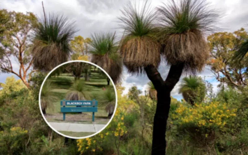 Perth Council Renames Offensive Blackboy Park to Koolyanga Park