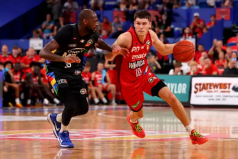 Perth Wildcats' Ben Henshall Revels in Natural Point Guard Role, Fuelling Team Surge