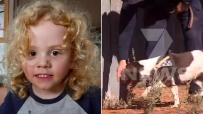 Police intensify search for missing boy Gus Lamont at second homestead
