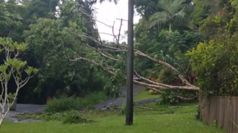 Power Pole Collapse Leaves Hundreds of Kuranda Homes Without Electricity