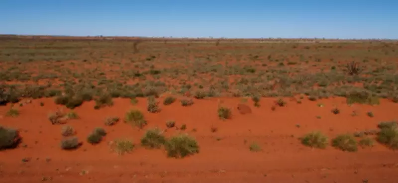 Rio Tinto's Copper Exploration Blitz in Western Australia Wilderness