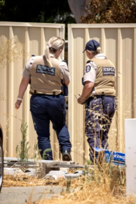 RSPCA WA critica inacción gubernamental tras cinco años de promesas incumplidas sobre la Ley de Bienestar Animal