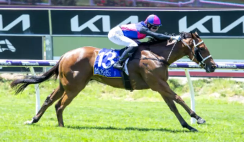 Sean and Jake Casey Aim for Second Magic Millions 2YO Classic Victory