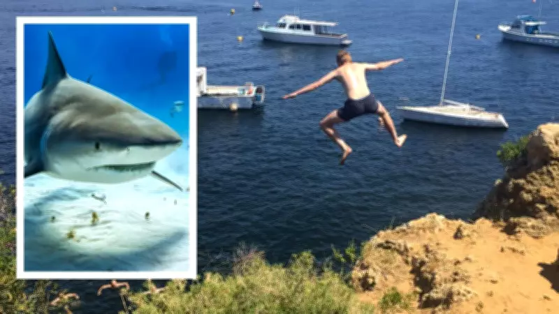 Shark Alert: Bull Sharks Detected Multiple Times in Swan River Swimming Spots
