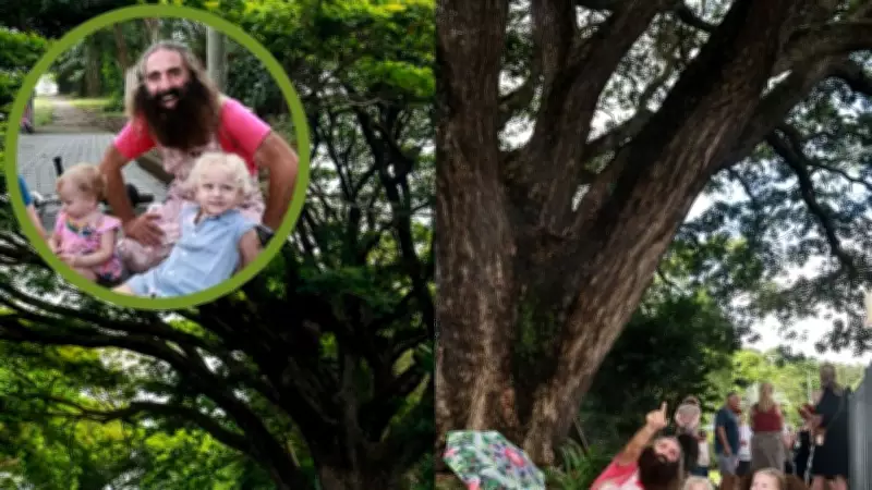 Star-Studded Campaign to Save Cairns' Giant Freshwater Rain Tree Heads to Court