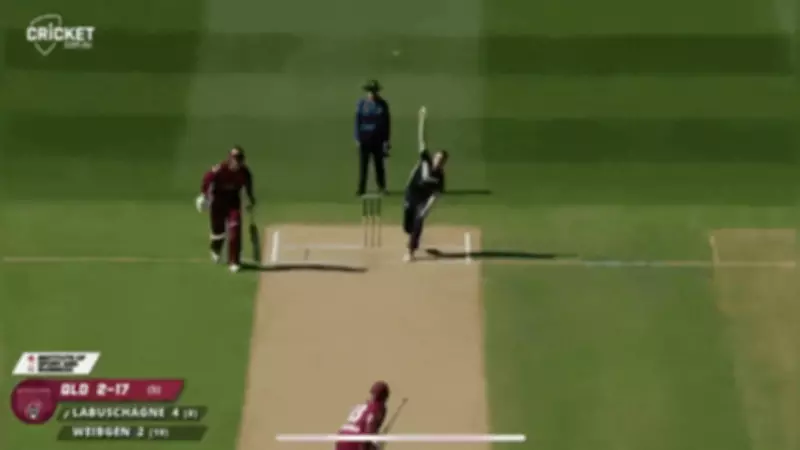 Tom Rogers' Spectacular Catch Steals Show in Victoria's One-Day Cup Victory