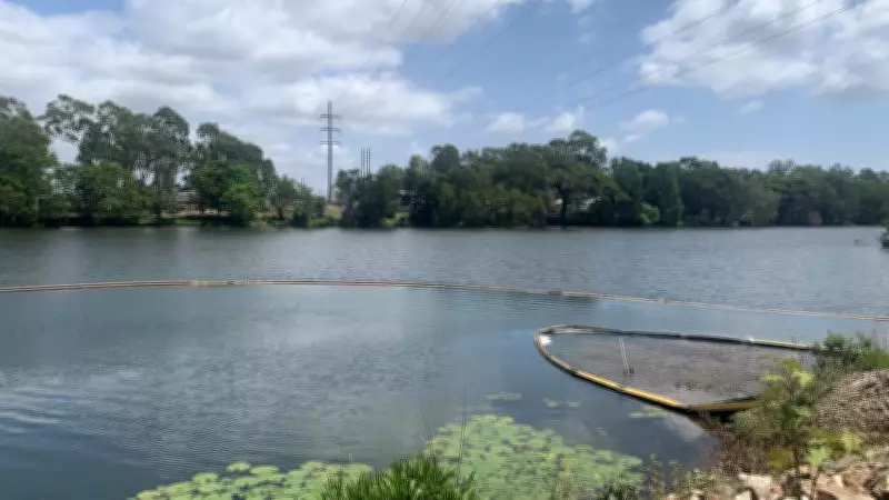 Townsville Council Confirms Tap Water Safety Despite Discolouration Concerns