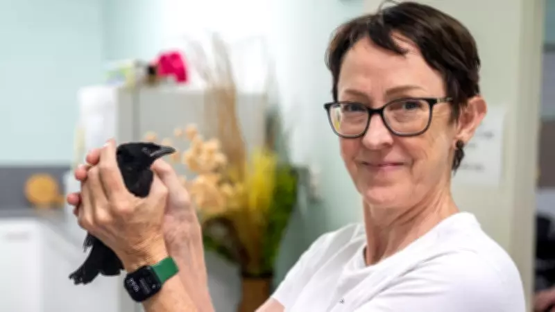 Townsville Council Secures Future of Vital North Queensland Wildlife Care Service