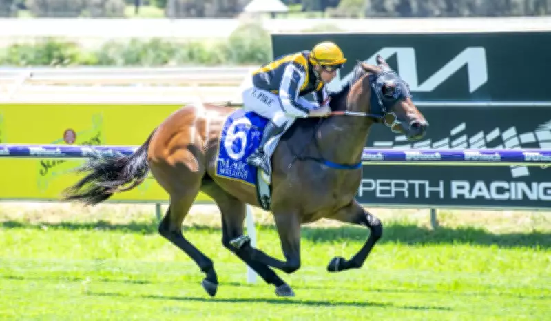 Trevor Andrews Confident Daryte Can Bounce Back in Magic Millions 2YO Classic
