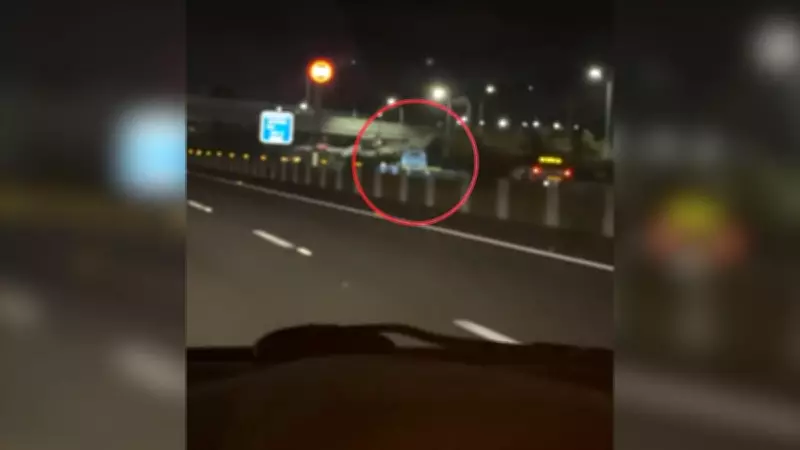 Truck Speeds Wrong Way on Bruce Highway Before Fatal Head-On Crash