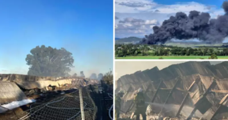 Up to 20,000 Chickens Perish in Luskintyre Poultry Shed Blaze Near Maitland