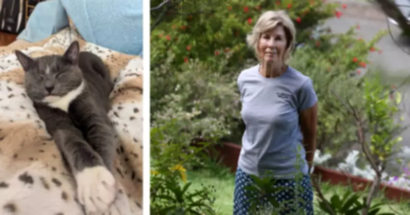 Urgent Call to Keep Pet Cats Indoors for Their Safety and Wildlife Protection