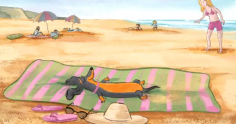 Valerie, Australia's Bravest Sausage Dog, Embarks on Exciting New Chapter