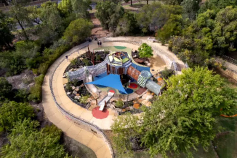 Venomous Redback Spider Infestation Found in Perth Playground Equipment