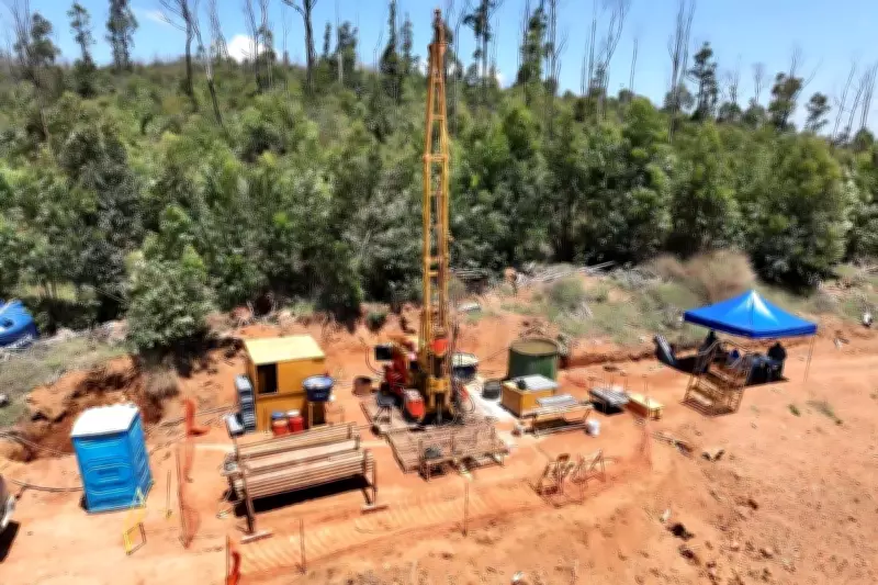 Viridis Appoints Rare Earths Veteran Ross Forzatti to Lead Brazilian Colossus Project