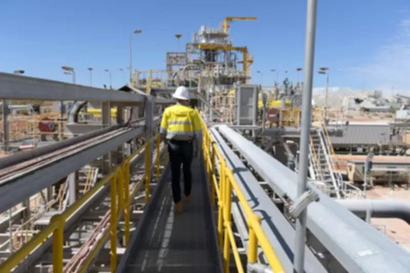 WA's PLS Restarts Idled Ngungaju Lithium Plant with China Price Floor Deal