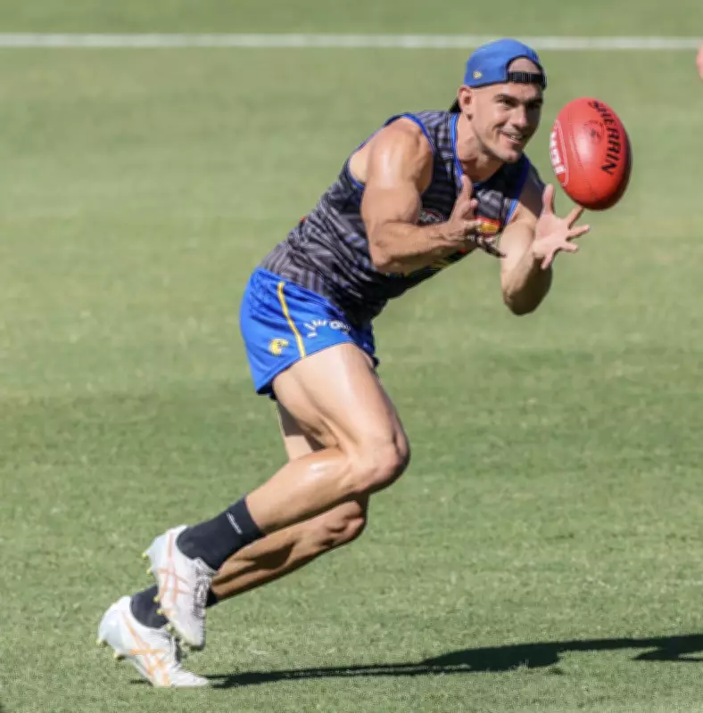 West Coast Eagles' Brandon Starcevich sidelined with calf strain, misses Fremantle clash