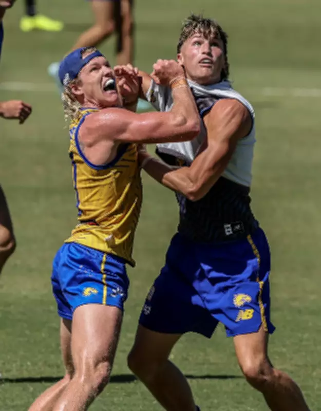 West Coast Eagles' Forward Line Future Bright, But Key Piece Missing: Watters