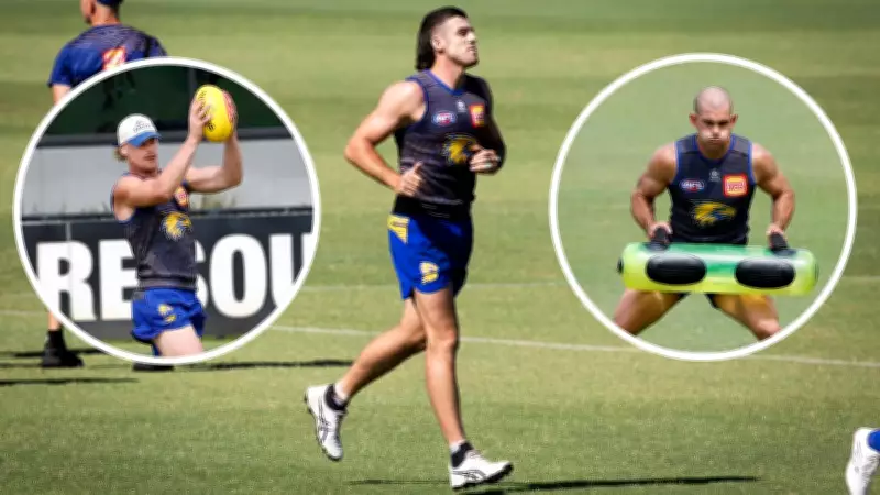 West Coast Eagles' Training Boost: Waterman, Ginbey, Hewett, Reid, and Starcevich Return