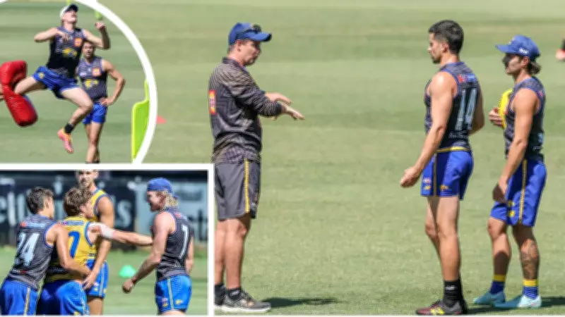West Coast Eagles Training Update: Brady Hough's Coaching Role and Captain's Insights