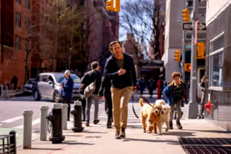 Will Arnett's Dramatic Turn Shines in Is This Thing On? Film Review