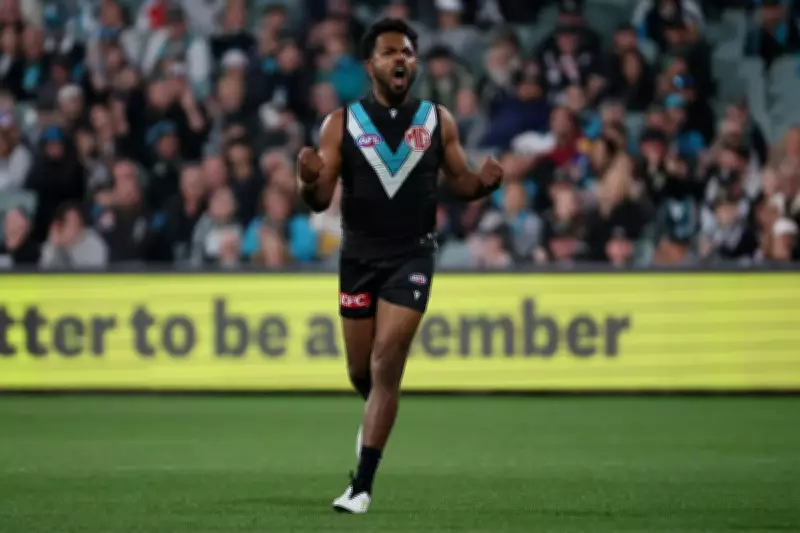 Willie Rioli Nears South Fremantle Return, Set to Train with Bulldogs