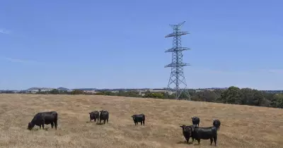 Energy Ombudsman Probes EnergyCo Over $10k Land Fee 'Guidelines' in Hunter