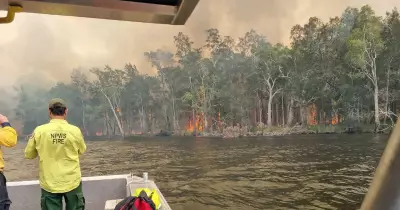 Fire Crews Continue Mopping Up Nerong Bushfire as Newcastle Faces Multiple Incidents