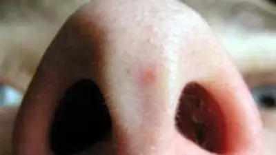 Mystery Odour Investigation Launched Across Geelong and Surf Coast