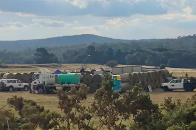 Novo Resources Revitalises Victorian Gold Project with Major Exploration Target Upgrade