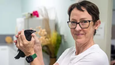 Townsville Council Secures Future of Vital North Queensland Wildlife Care Service