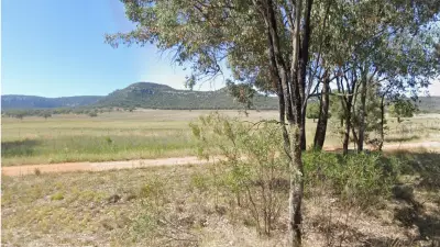 Unlicensed Hunter Charged After Alleged Trespass and Menacing Drive on NSW Farm