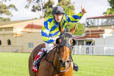 Watch Me Rock and Storyville Shine in Lark Hill Trials Ahead of Eastern Campaigns