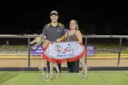 Action Shot Blazes to Victory in The Shorts at Mandurah Greyhounds
