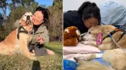 Australian Food Blogger Nagi Maehashi Mourns Loss of Beloved Golden Retriever Dozer