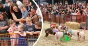 Dapto Pig Races Draw Crowds in Bumper Return to The Groundz