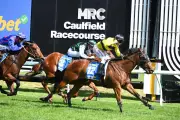 Former AFL Star Michael Gardiner Celebrates Group 1 Blue Diamond Win with Streisand