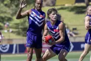 Fremantle Dockers Face Adelaide Crows in Pre-Season AFL Clash at Mandurah