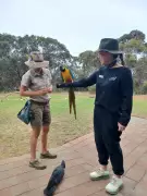 From Busselton Guesthouse to Global Tours: The Villa Carlotta Travel Story