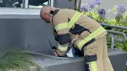 Geelong CBD Basement Car Park Fire: Crews Swiftly Contain Blaze