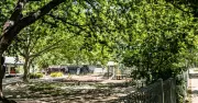 How Urban Trees Cool Australian Suburbs and Combat Heatwaves