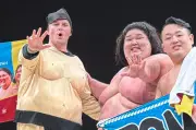 InDaily Reporter Seeks Redemption in Adelaide Sumo Rematch After Japan Defeat