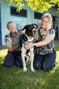 Inside the Dangers and Delights of RSPCA Inspectors Protecting WA Animals