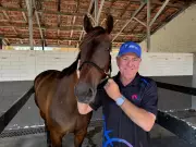 Minstrel Aims for Historic Third Consecutive Pinjarra Pacing Cup Victory