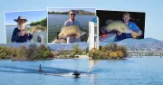 Oh My Cod! Lake Burley Griffin's Water Secrets Revealed in Shocking Study