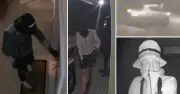 Police Release CCTV Footage After Nelson Bay Break-Ins, Seek Three Males