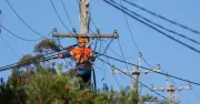 Power Outage Hits Bulli and Woonona: Over 1100 Properties Affected