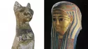 Priceless Egyptian Artefacts Stolen in Brazen Caboolture Museum Break-In